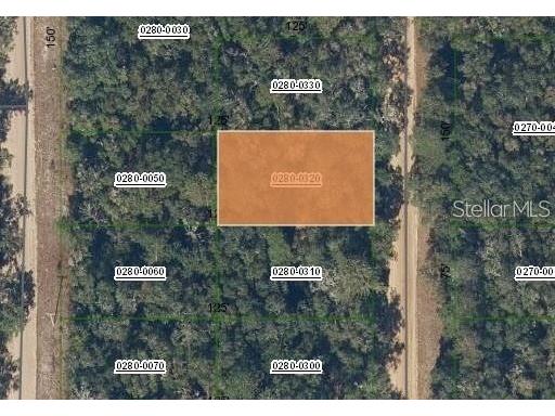 Brett Ave Interlachen FL 32148 FC317801 image1