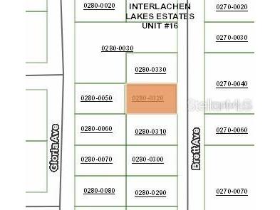 Brett Ave Interlachen FL 32148 FC317801 image2