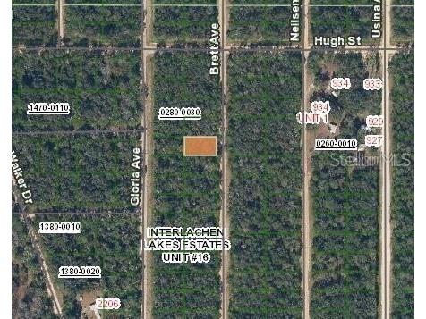Brett Ave Interlachen FL 32148 FC317801 image3