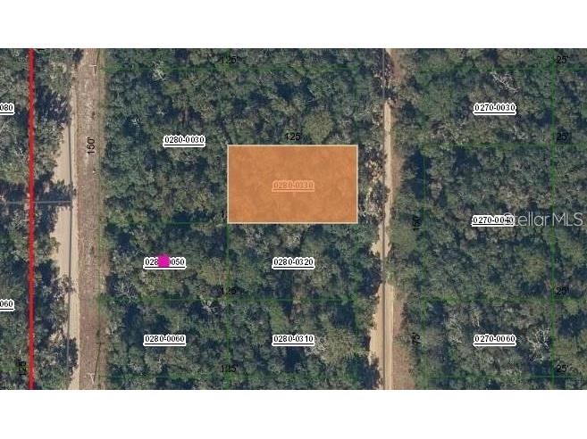 Brett Avenue Interlachen FL 32148 FC317802 image1
