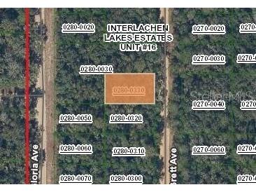 Brett Avenue Interlachen FL 32148 FC317802 image3