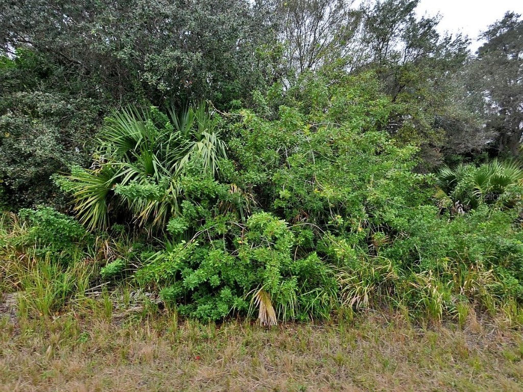 Brewster Lot #8 Road North Port FL 34288 C7508533 image1