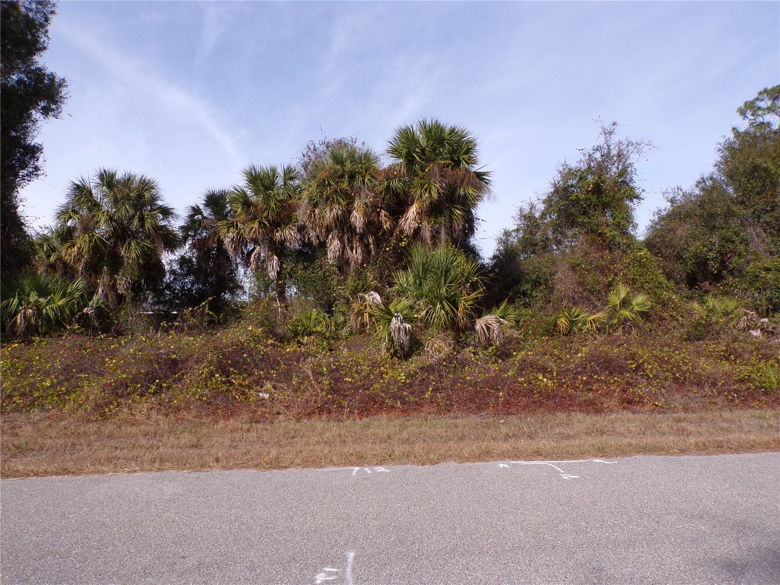 Brewster Road North Port FL 34288 C7520388 image2