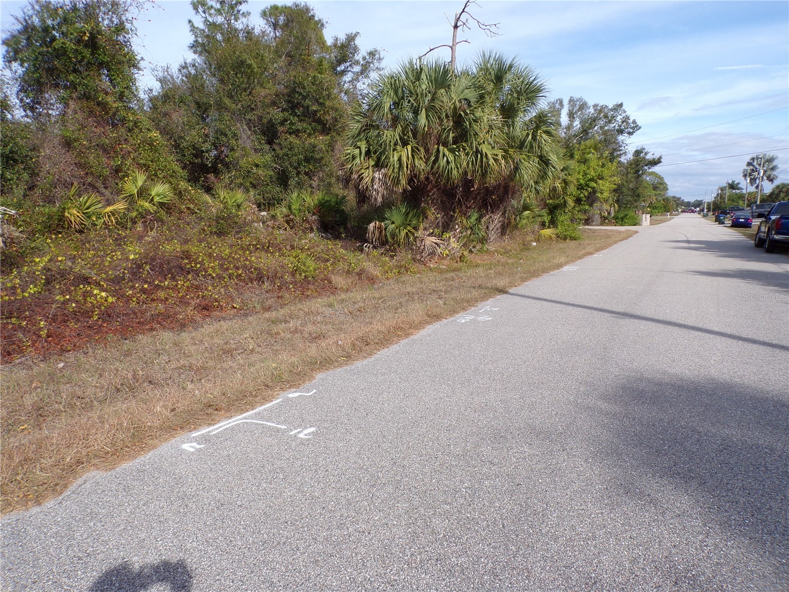 Brewster Road North Port FL 34288 C7520388 image3