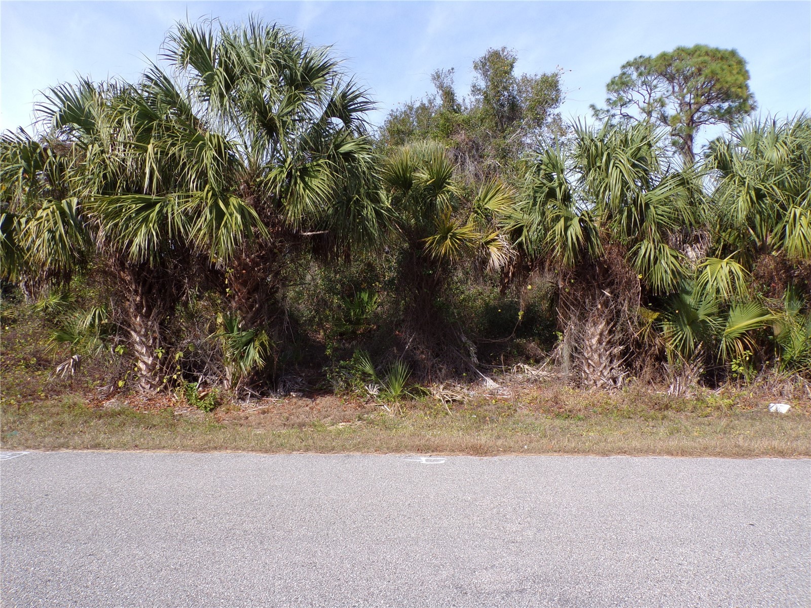 Brewster Road North Port FL 34288 C7520388 image5