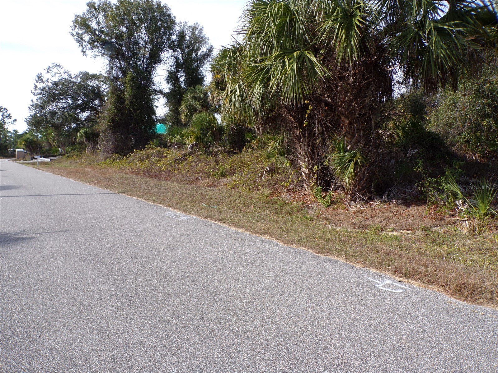 Brewster Road North Port FL 34288 C7520388 image6