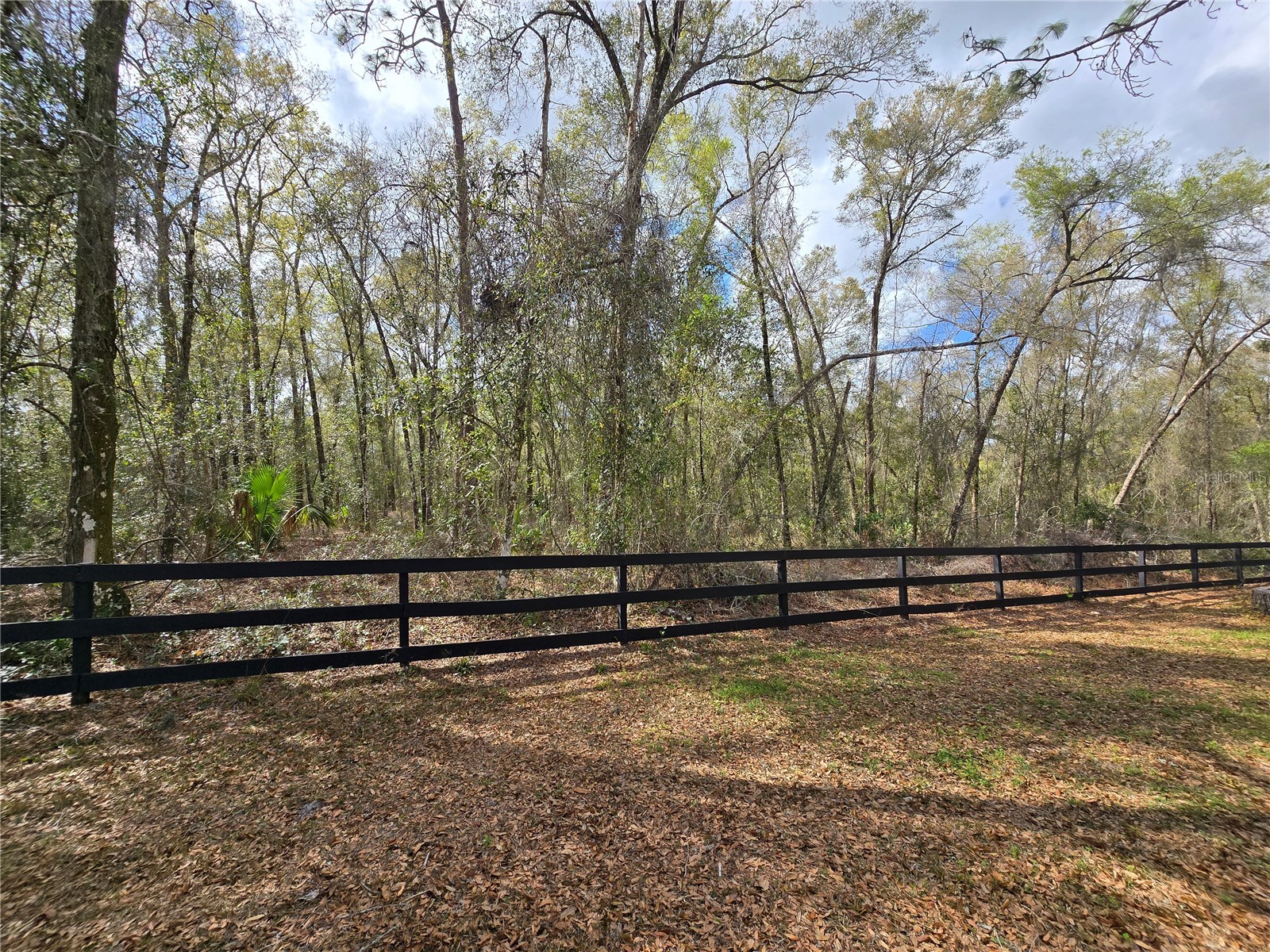 Bright Way Deland FL 32720 R4909923 image10