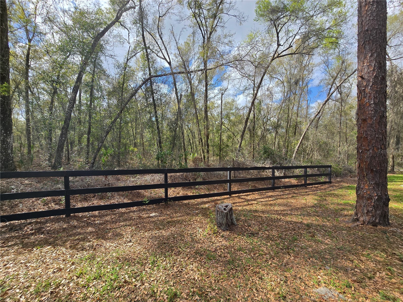 Bright Way Deland FL 32720 R4909923 image11