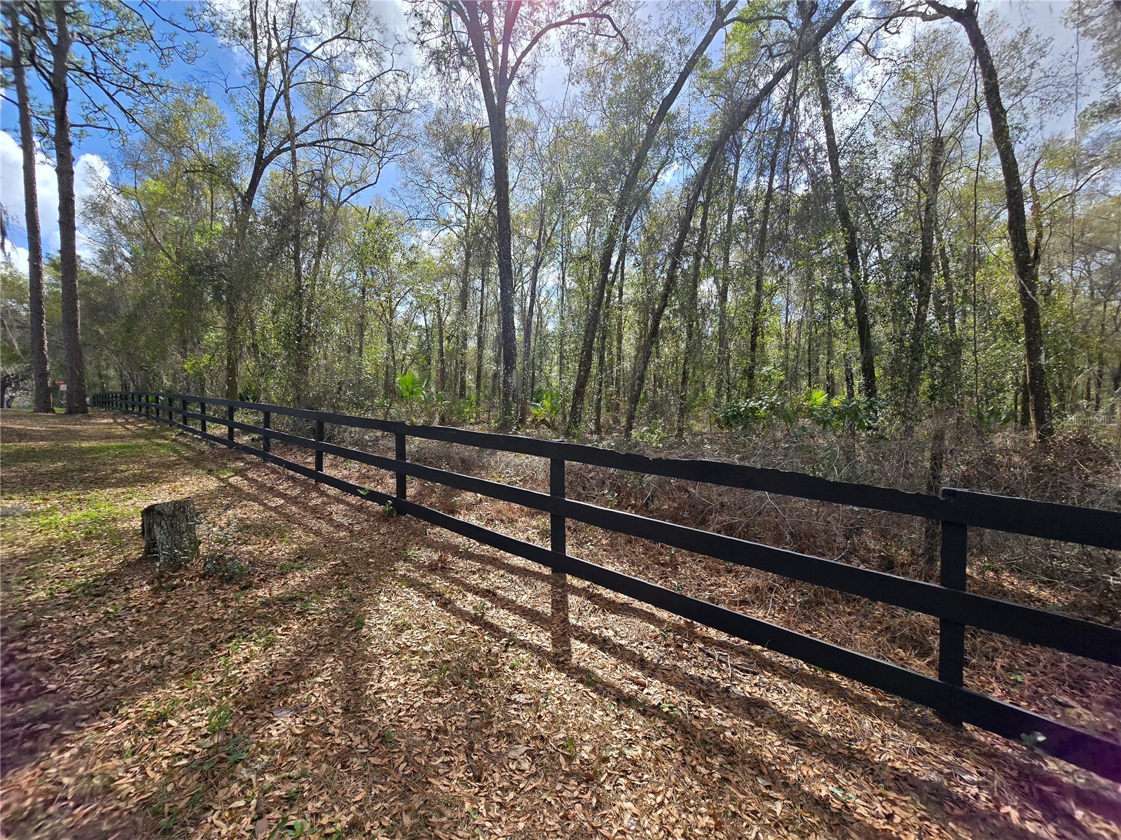 Bright Way Deland FL 32720 R4909923 image12