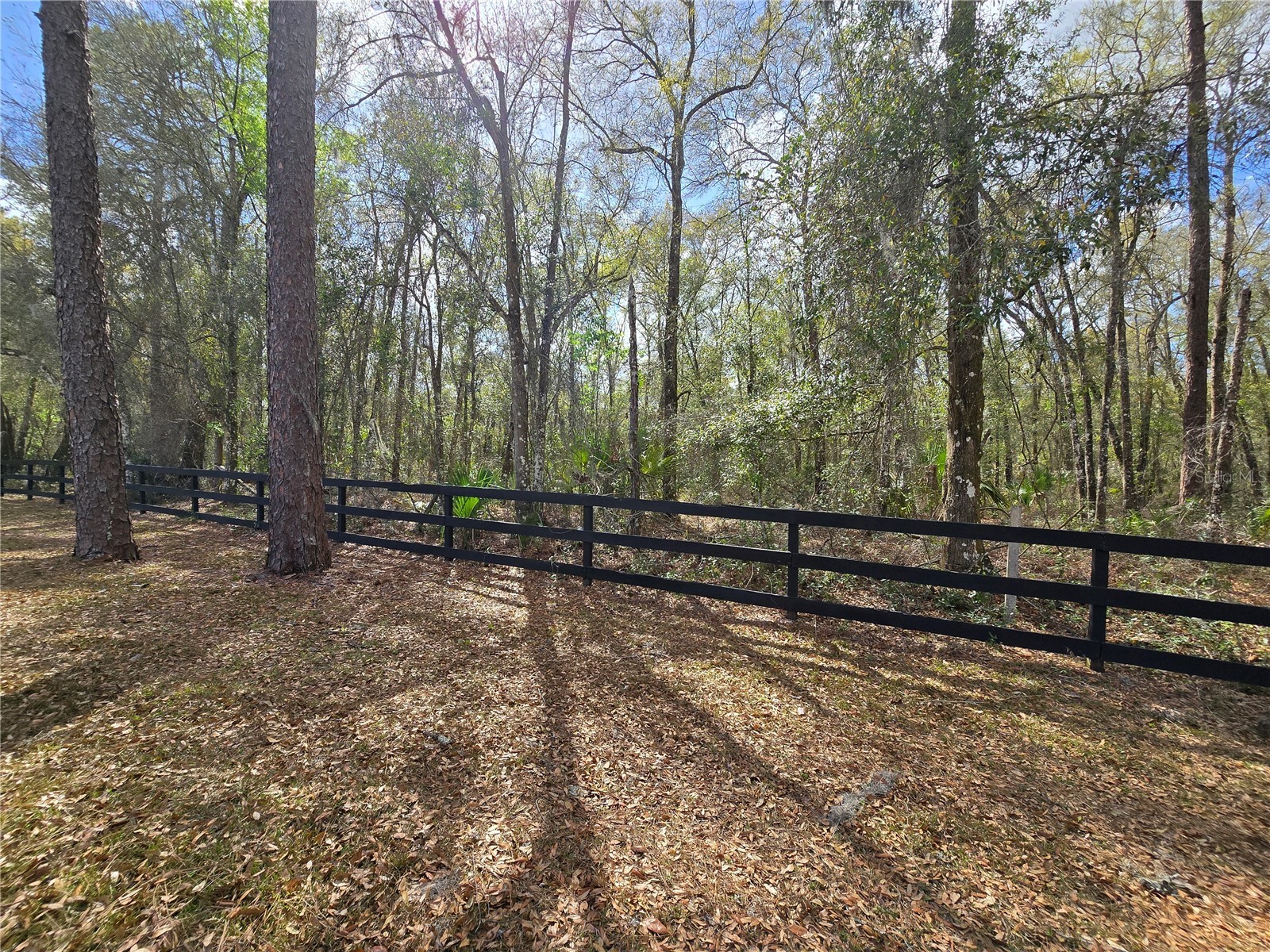 Bright Way Deland FL 32720 R4909923 image13