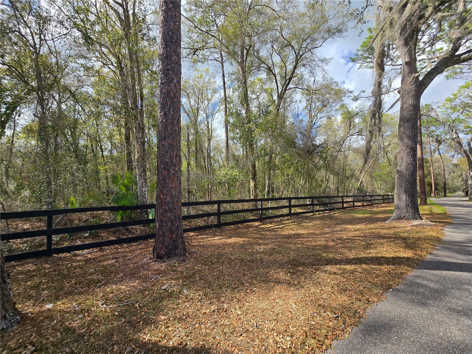 Bright Way Deland FL 32720 R4909923 image14