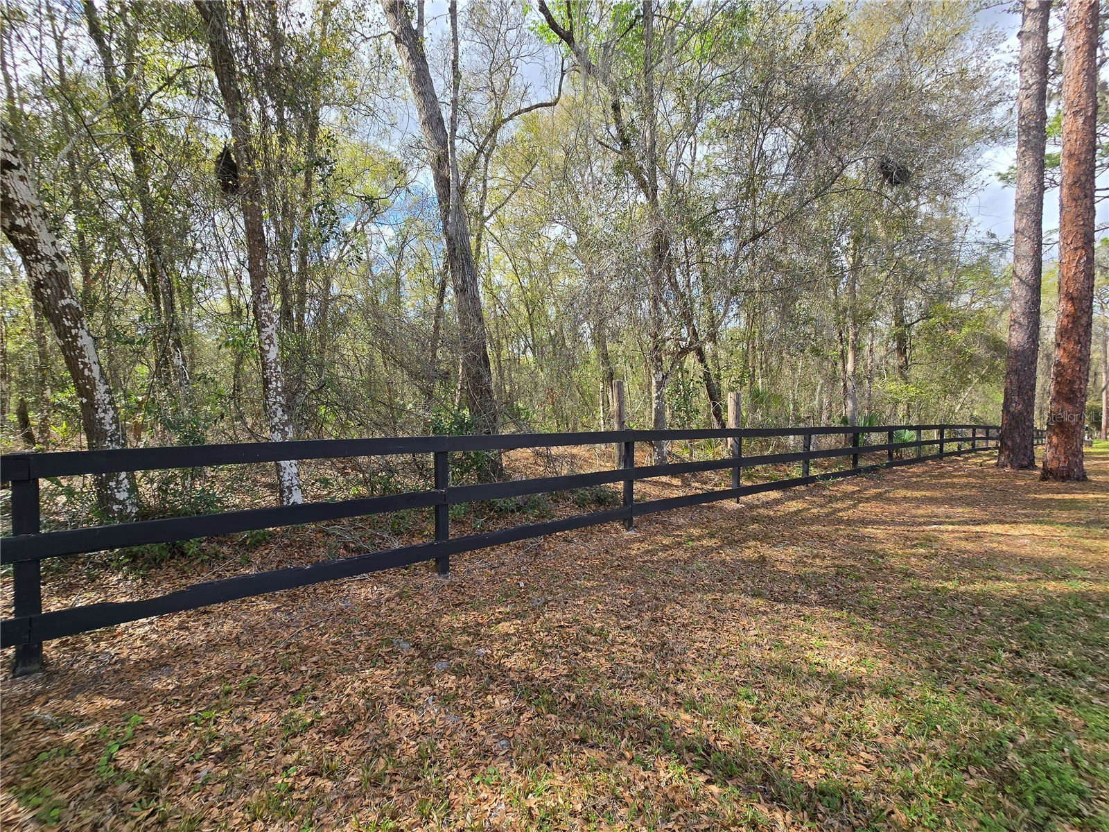 Bright Way Deland FL 32720 R4909923 image15