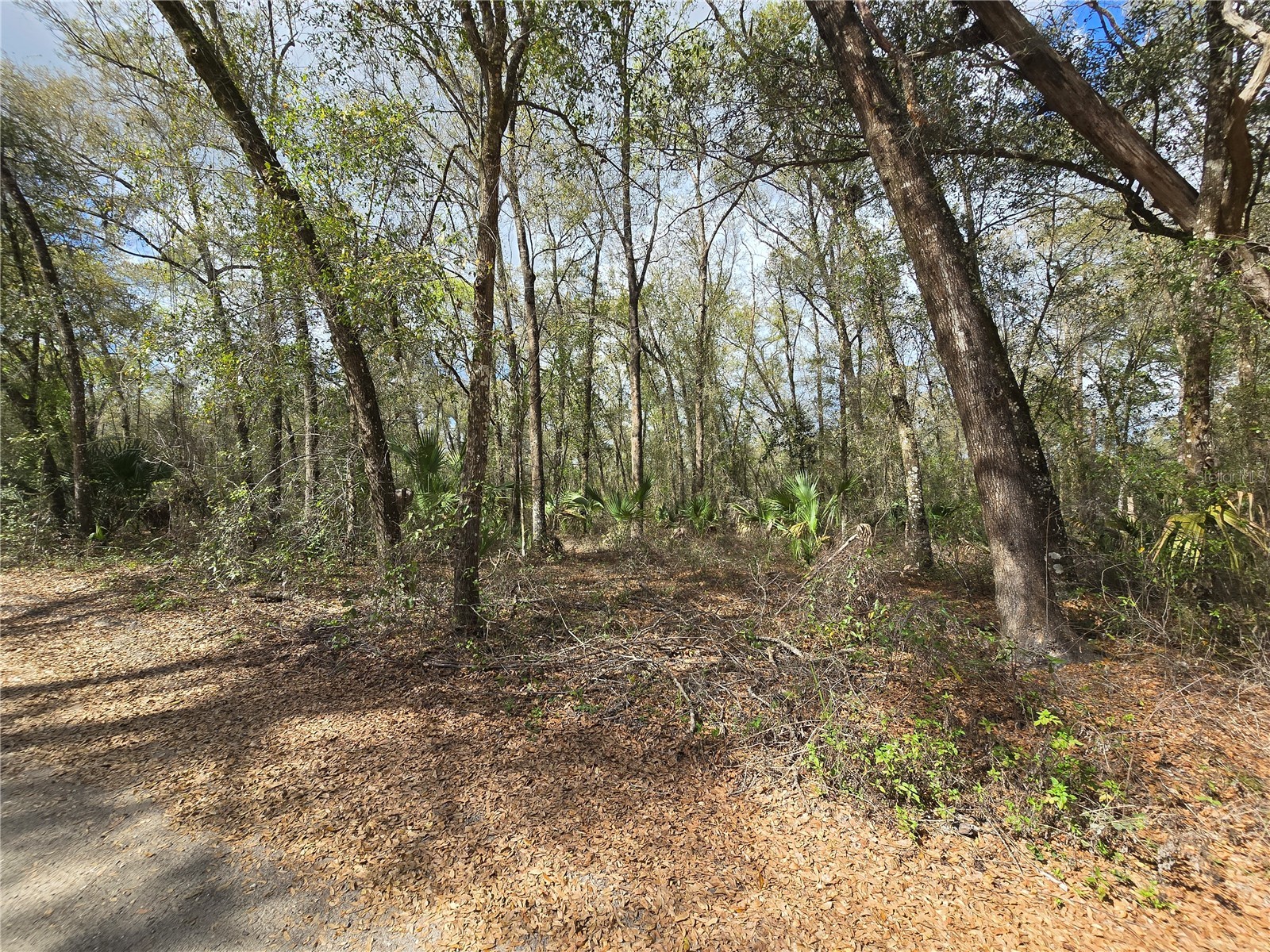 Bright Way Deland FL 32720 R4909923 image16