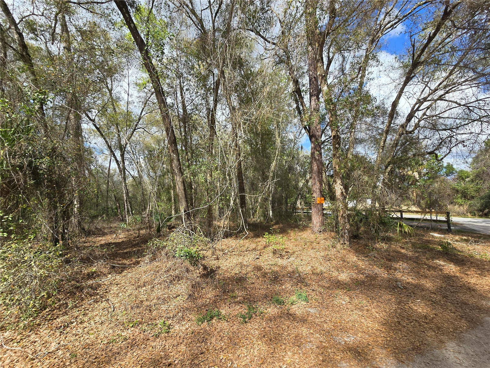 Bright Way Deland FL 32720 R4909923 image2