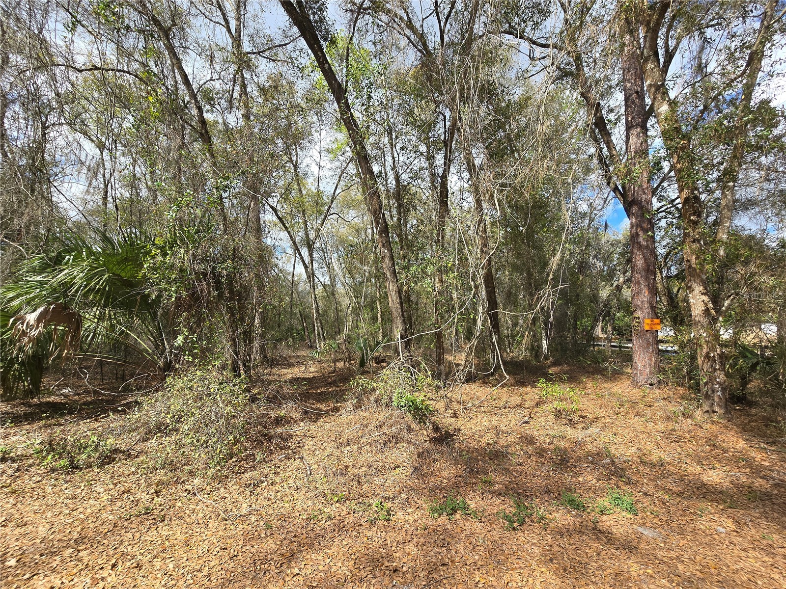 Bright Way Deland FL 32720 R4909923 image3