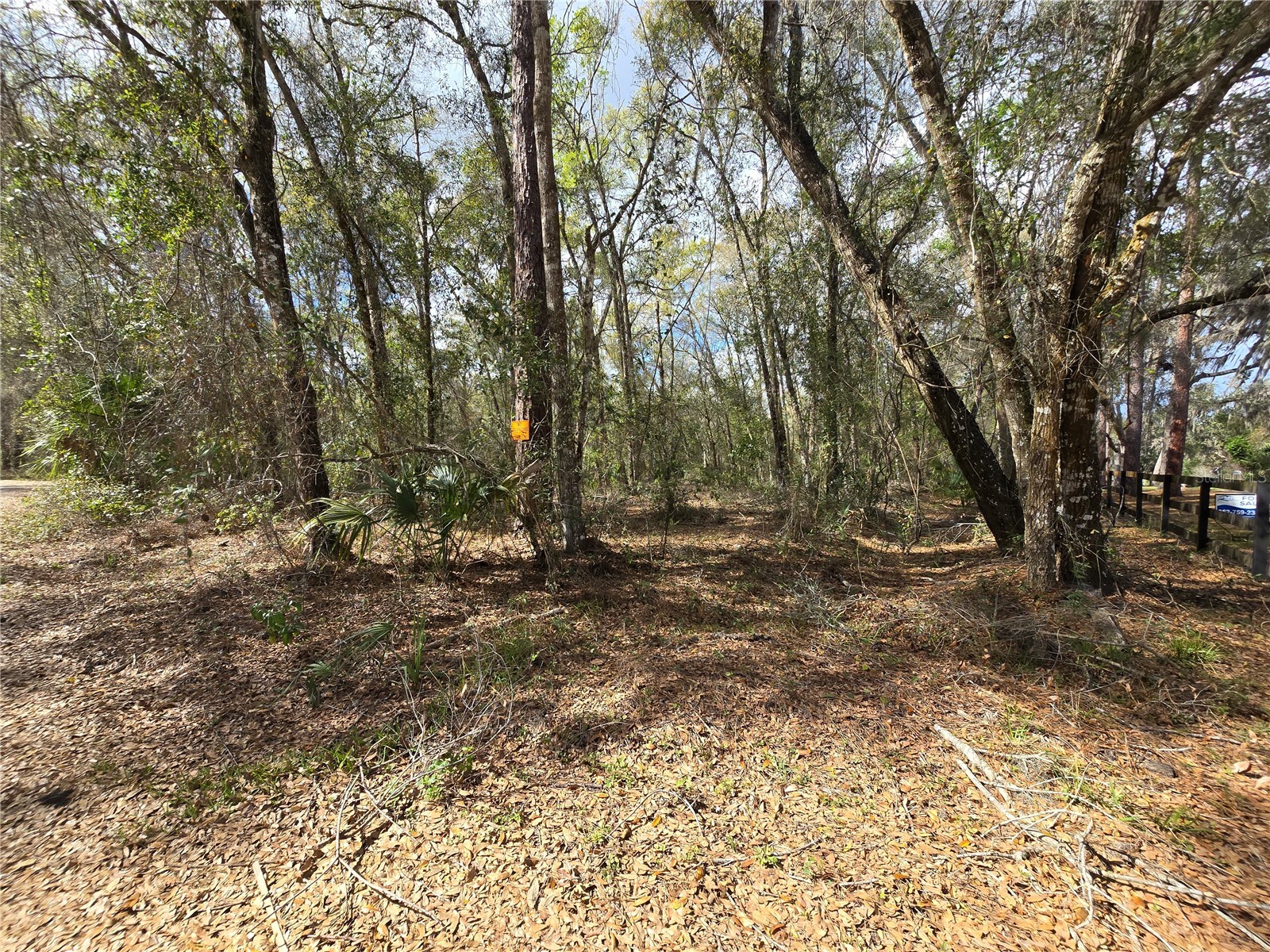 Bright Way Deland FL 32720 R4909923 image4