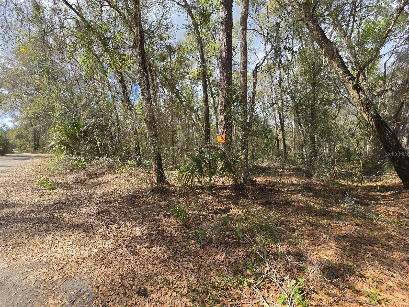 Bright Way Deland FL 32720 R4909923 image5