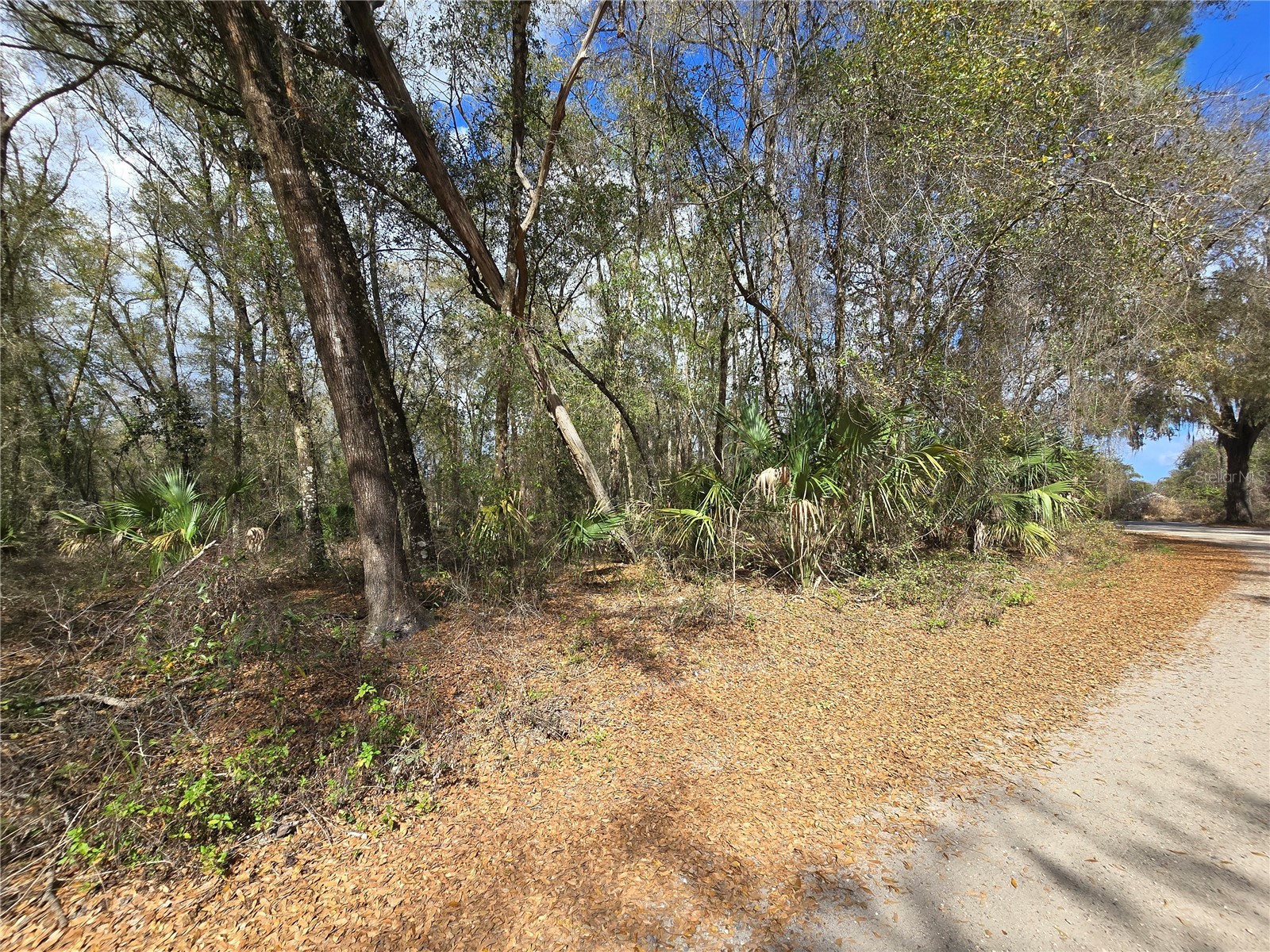 Bright Way Deland FL 32720 R4909923 image7