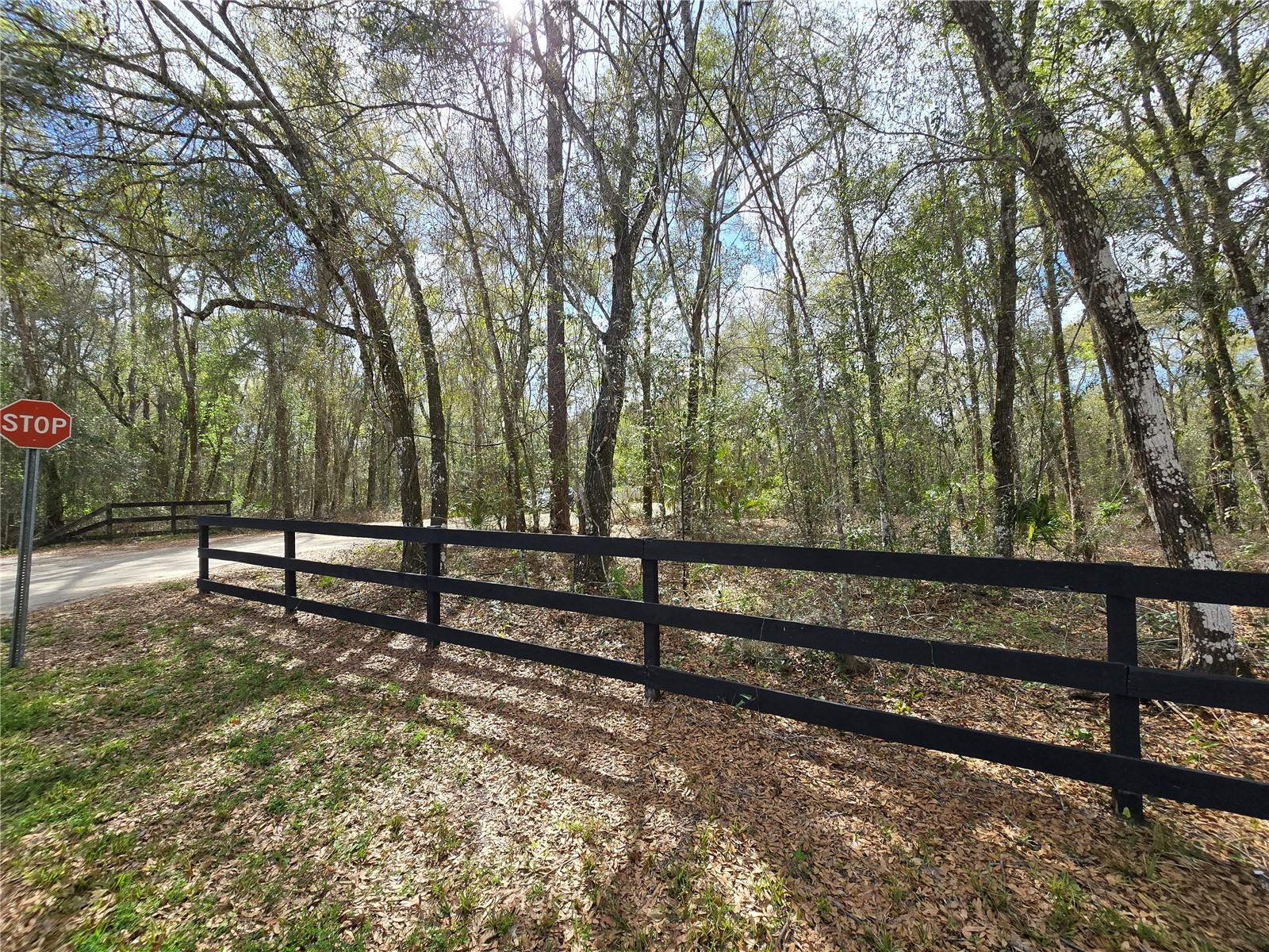 Bright Way Deland FL 32720 R4909923 image8