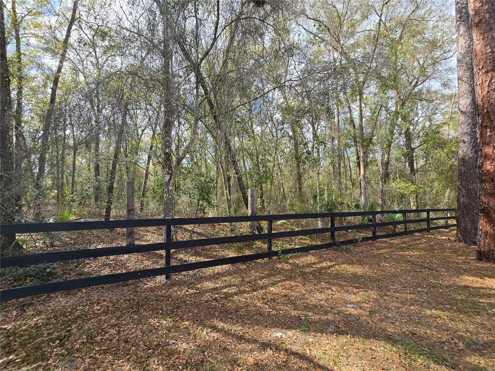 Bright Way Deland FL 32720 R4909923 image9