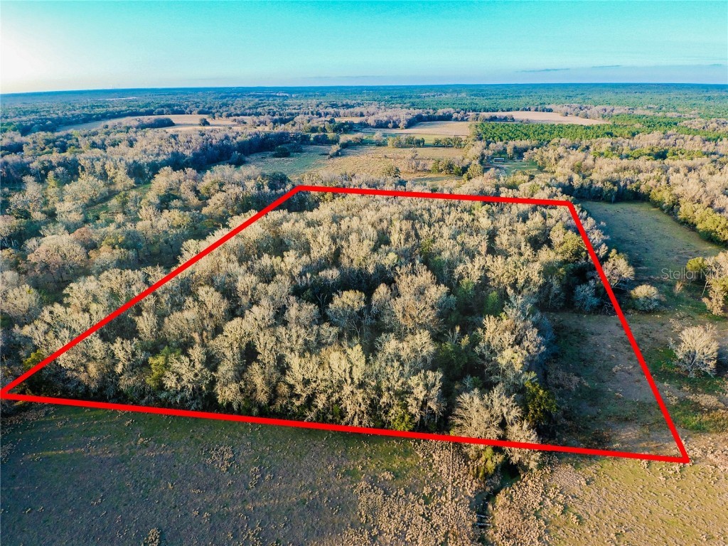 Brittle Road Brooksville FL 34601 W7849645 image1