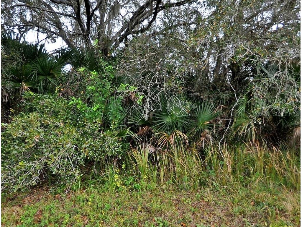 Brixton Terrace North Port FL 34291 C7508777 image3