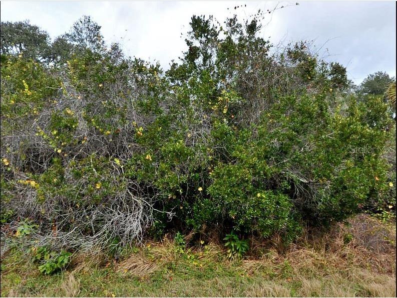 Brixton Terrace North Port FL 34291 O6189443 image2