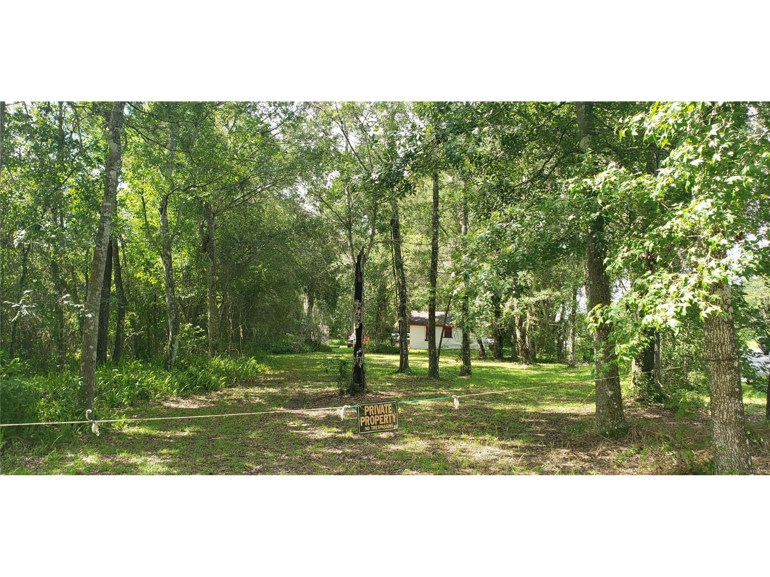 Broad Street Brooksville FL 34601 O6135789 image1