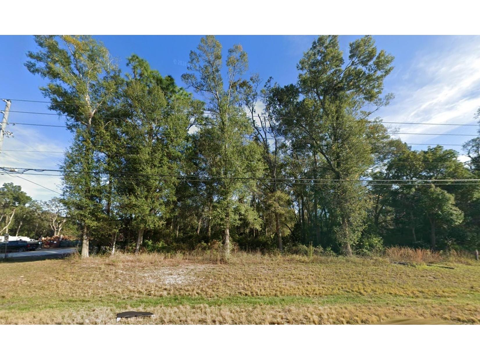Broad Street Brooksville FL 34604 L4961563 image2