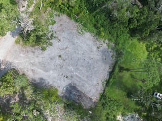 Broad Street Brooksville FL 34604 TB8439418 image6