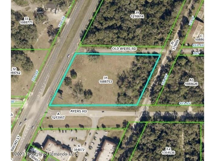Broad Street Brooksville FL 34604 W7855638 image1