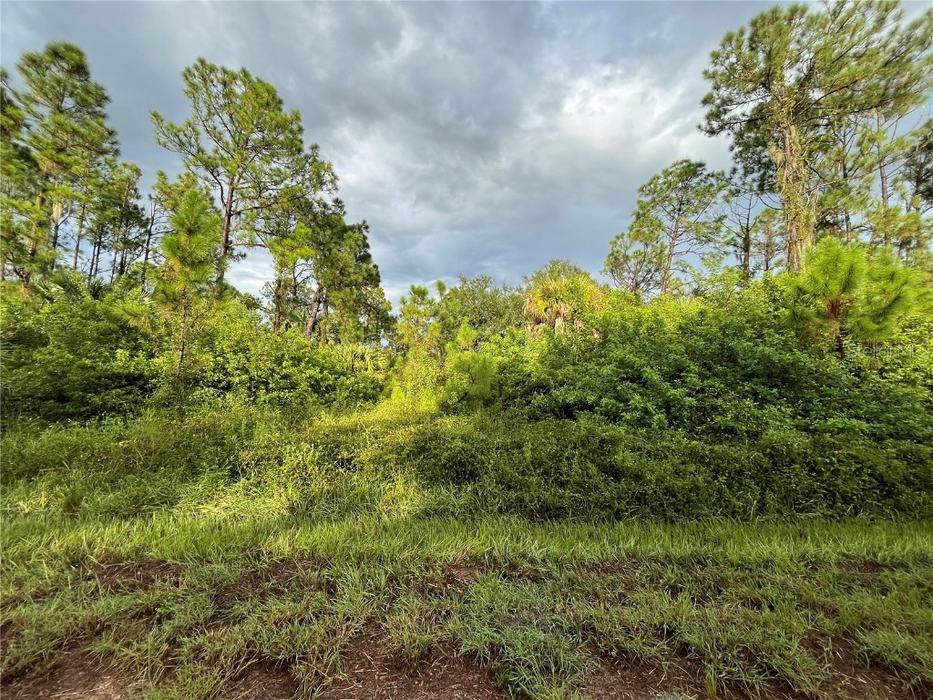 Brolly Street North Port FL 34288 OK224471 image1