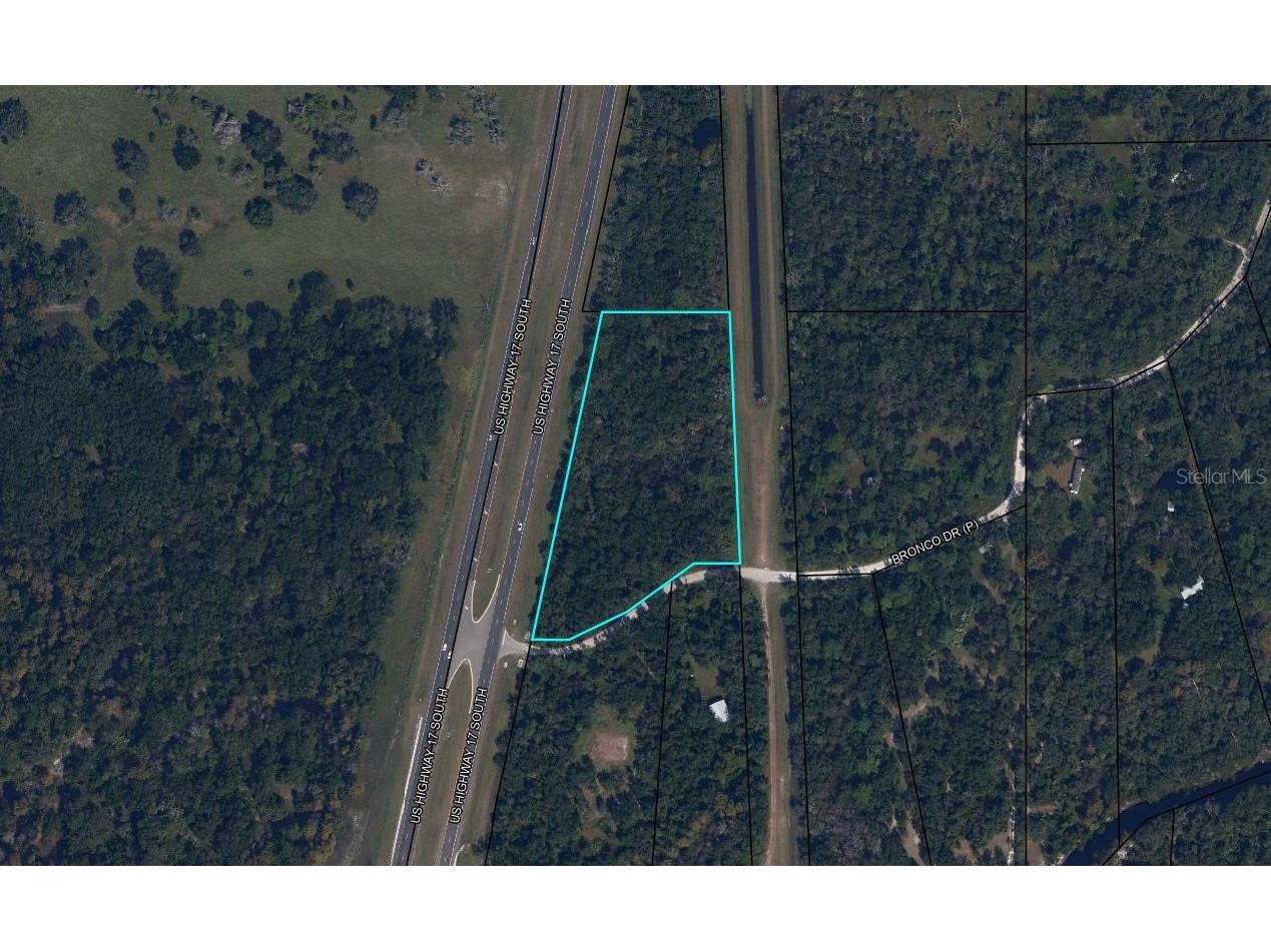 Bronco Drive Zolfo Springs FL 33890 L4961433 image1