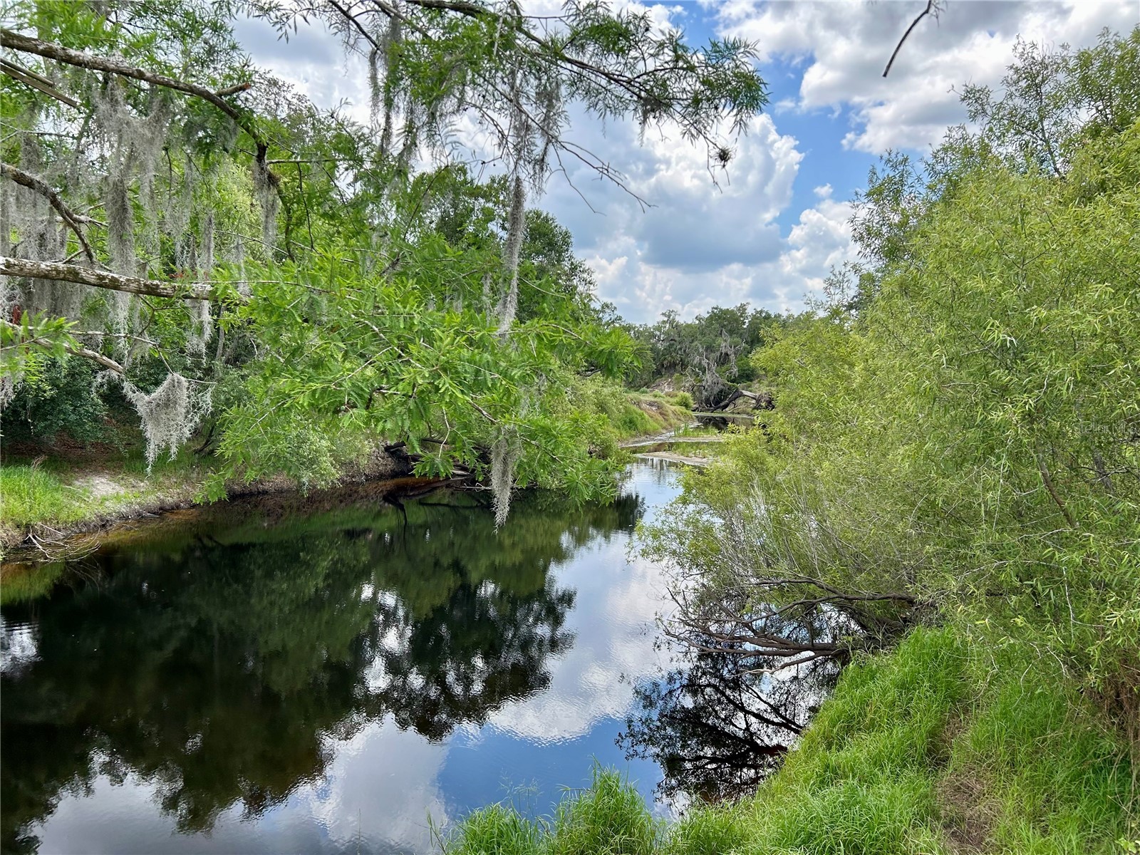 Bronco Drive Zolfo Springs FL 33890 L4961433 image10