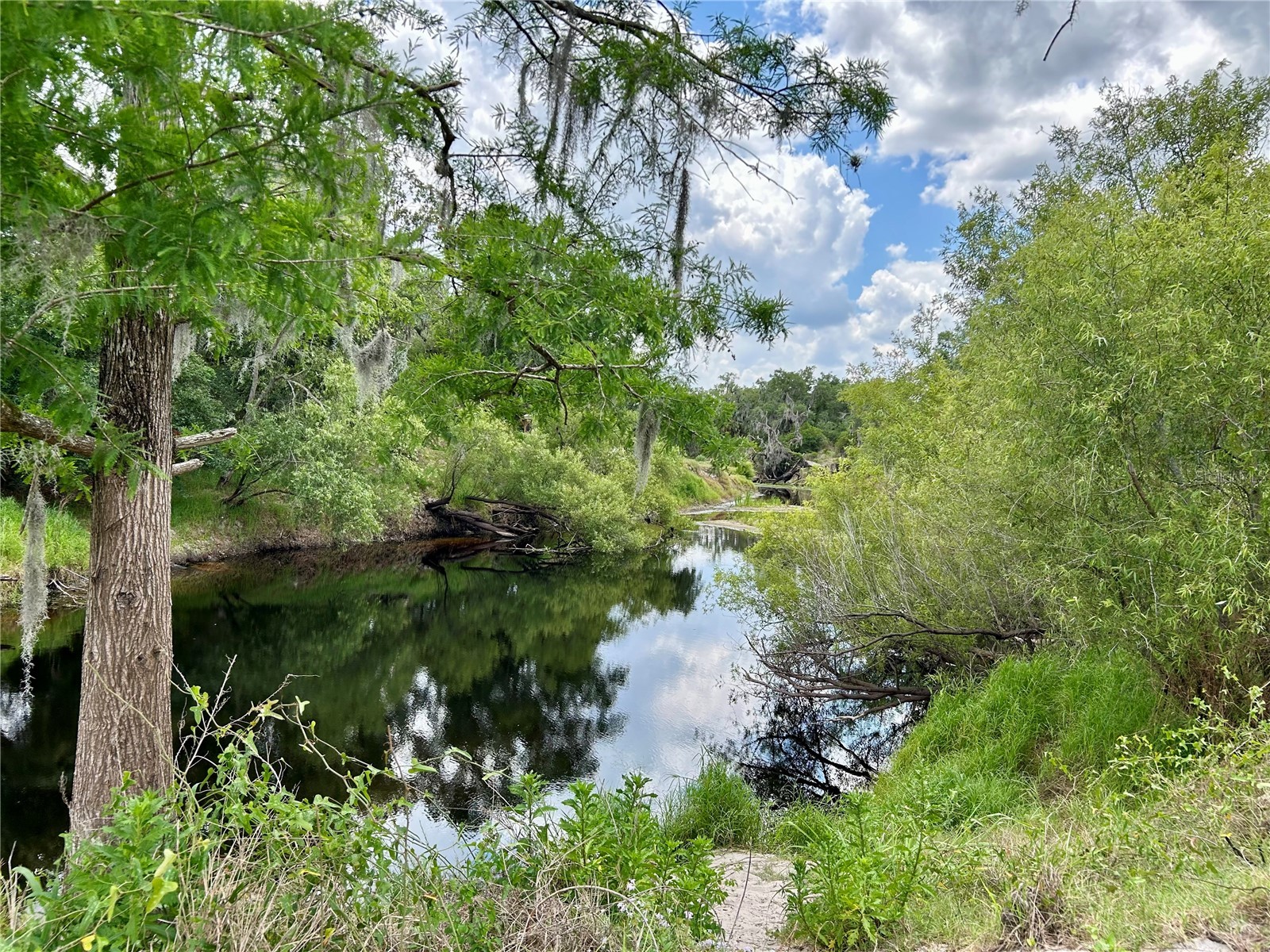 Bronco Drive Zolfo Springs FL 33890 L4961433 image11
