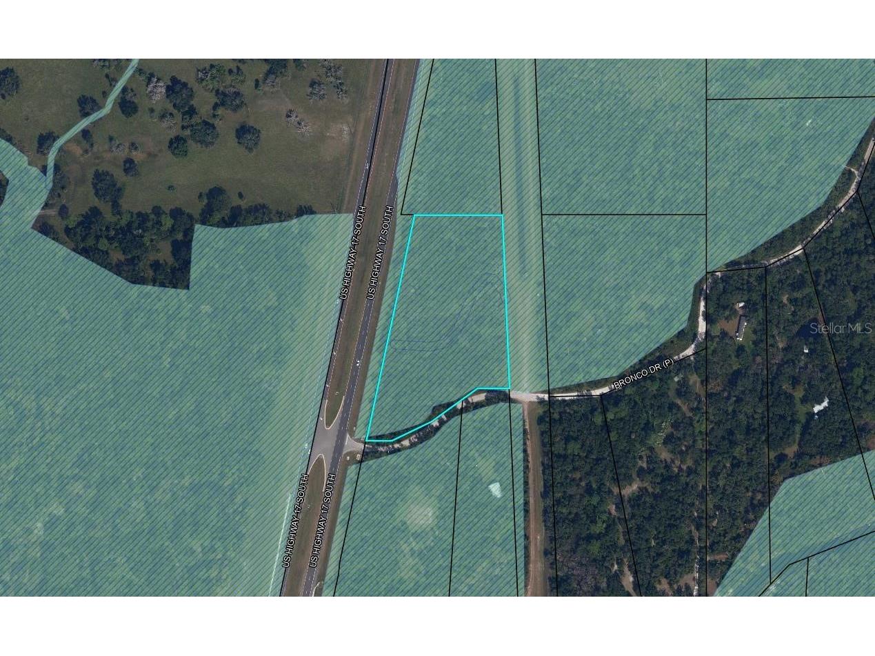 Bronco Drive Zolfo Springs FL 33890 L4961433 image13
