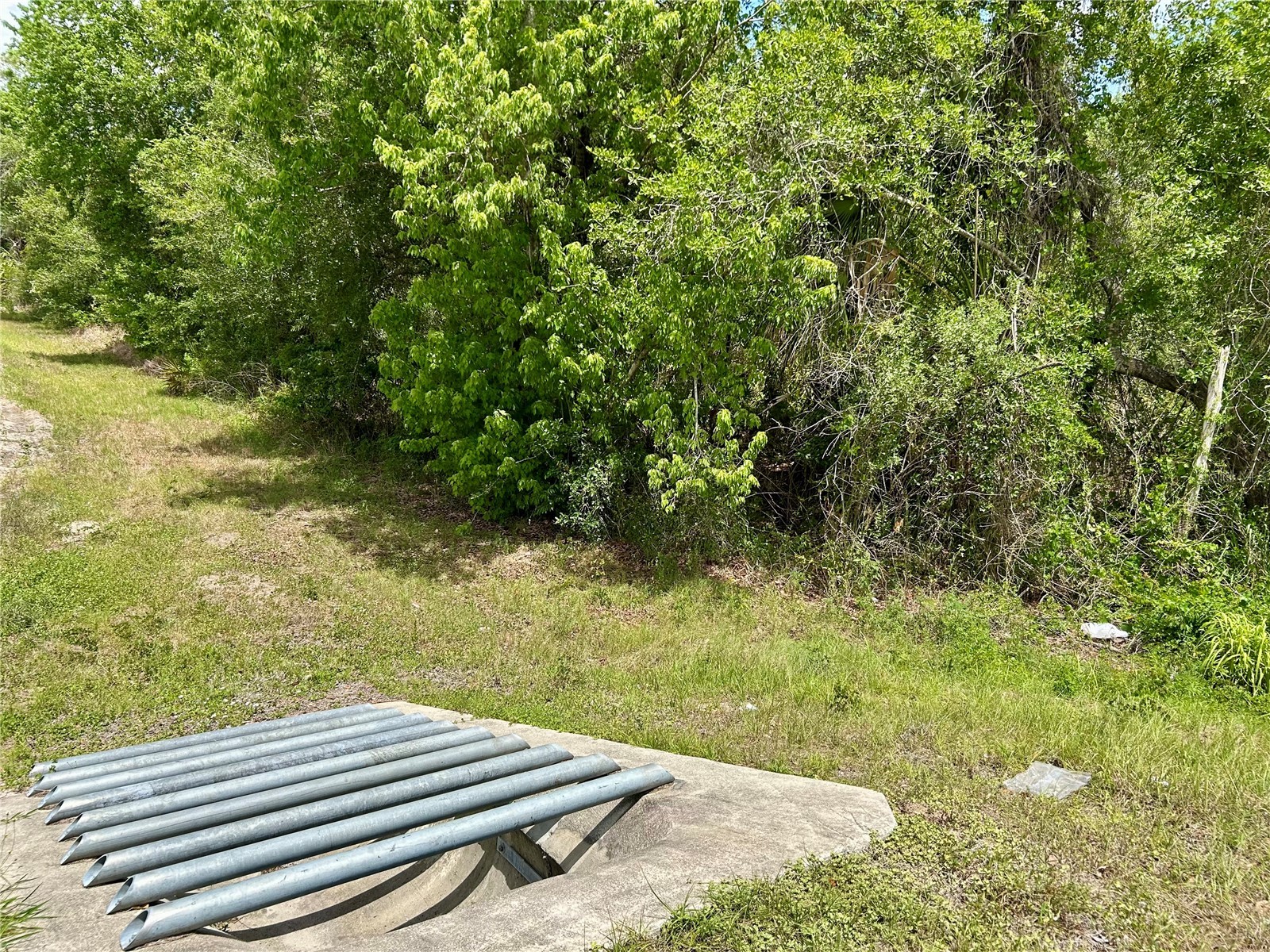 Bronco Drive Zolfo Springs FL 33890 L4961433 image4