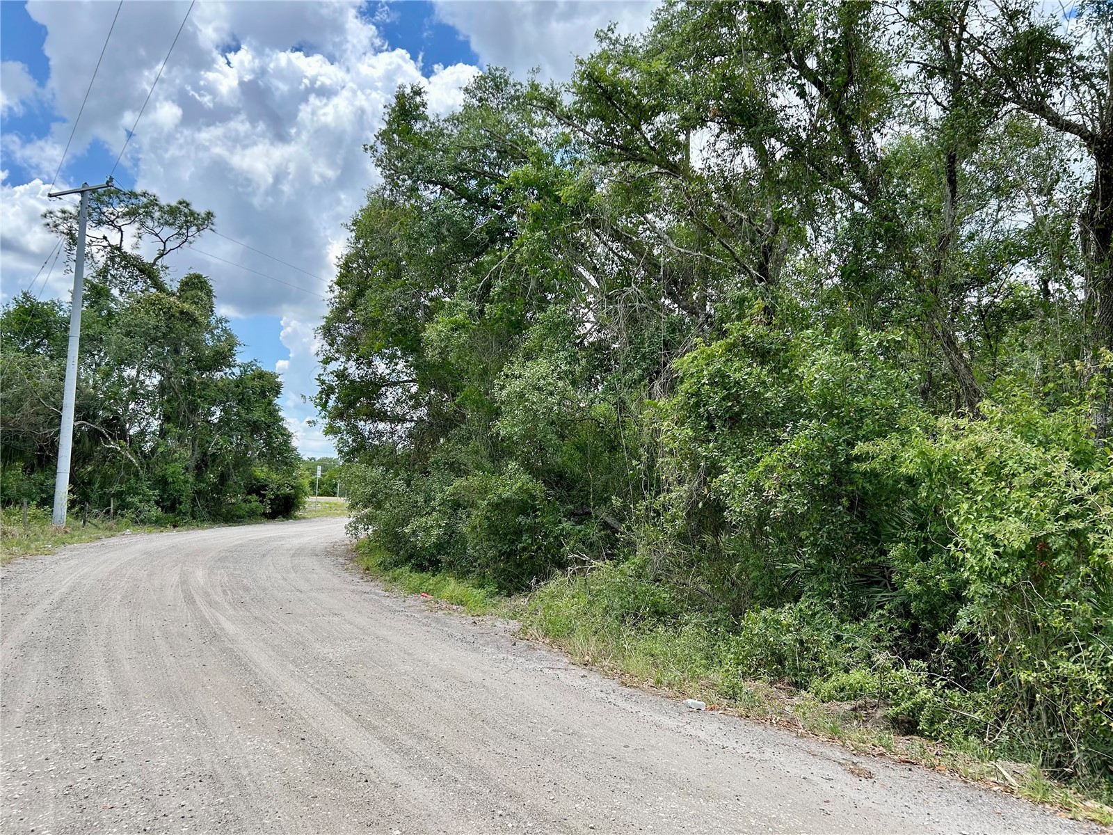 Bronco Drive Zolfo Springs FL 33890 L4961433 image5