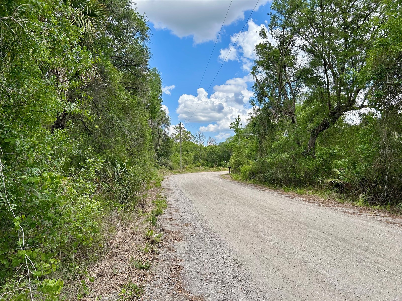Bronco Drive Zolfo Springs FL 33890 L4961433 image6