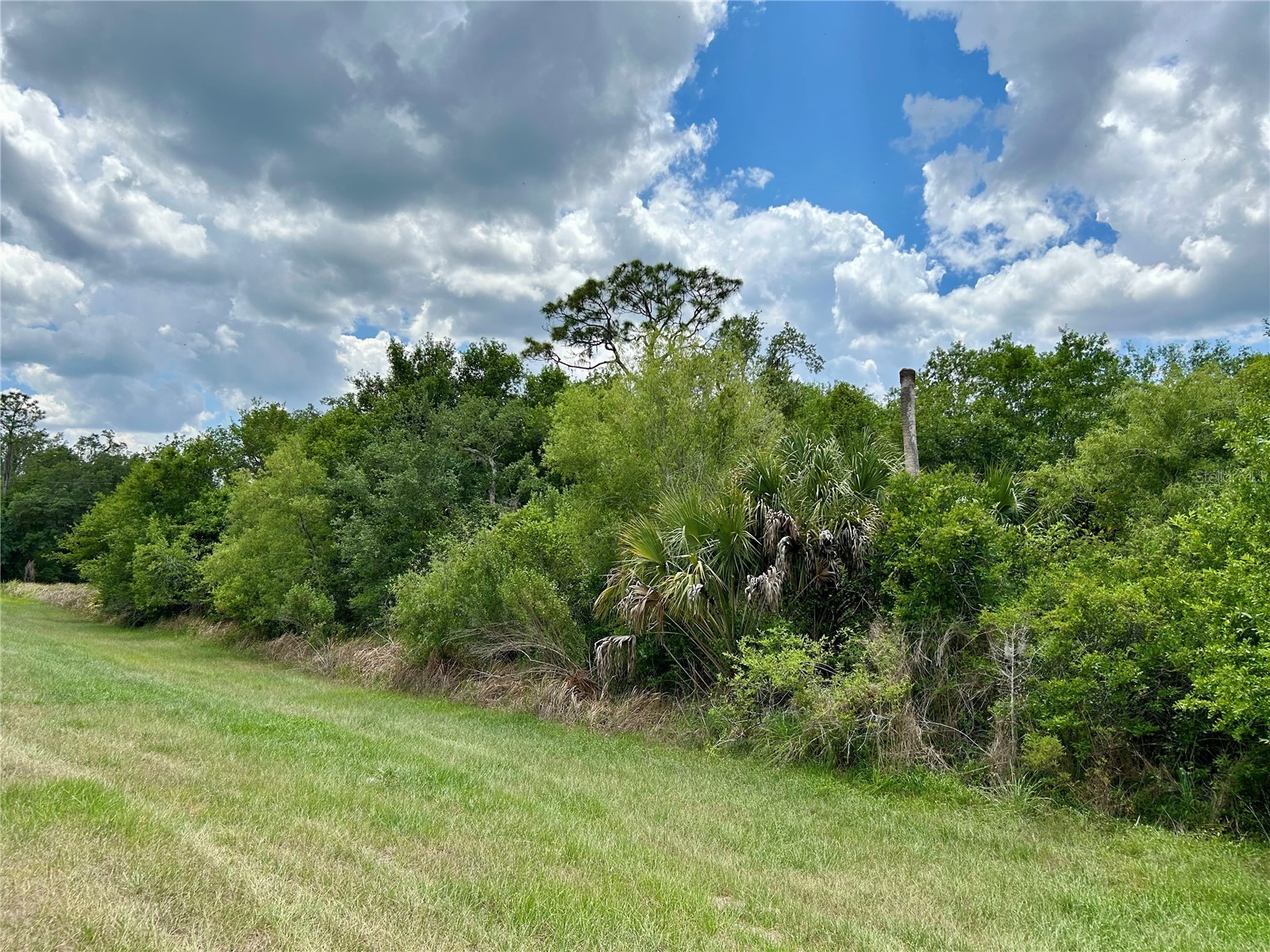 Bronco Drive Zolfo Springs FL 33890 L4961433 image8