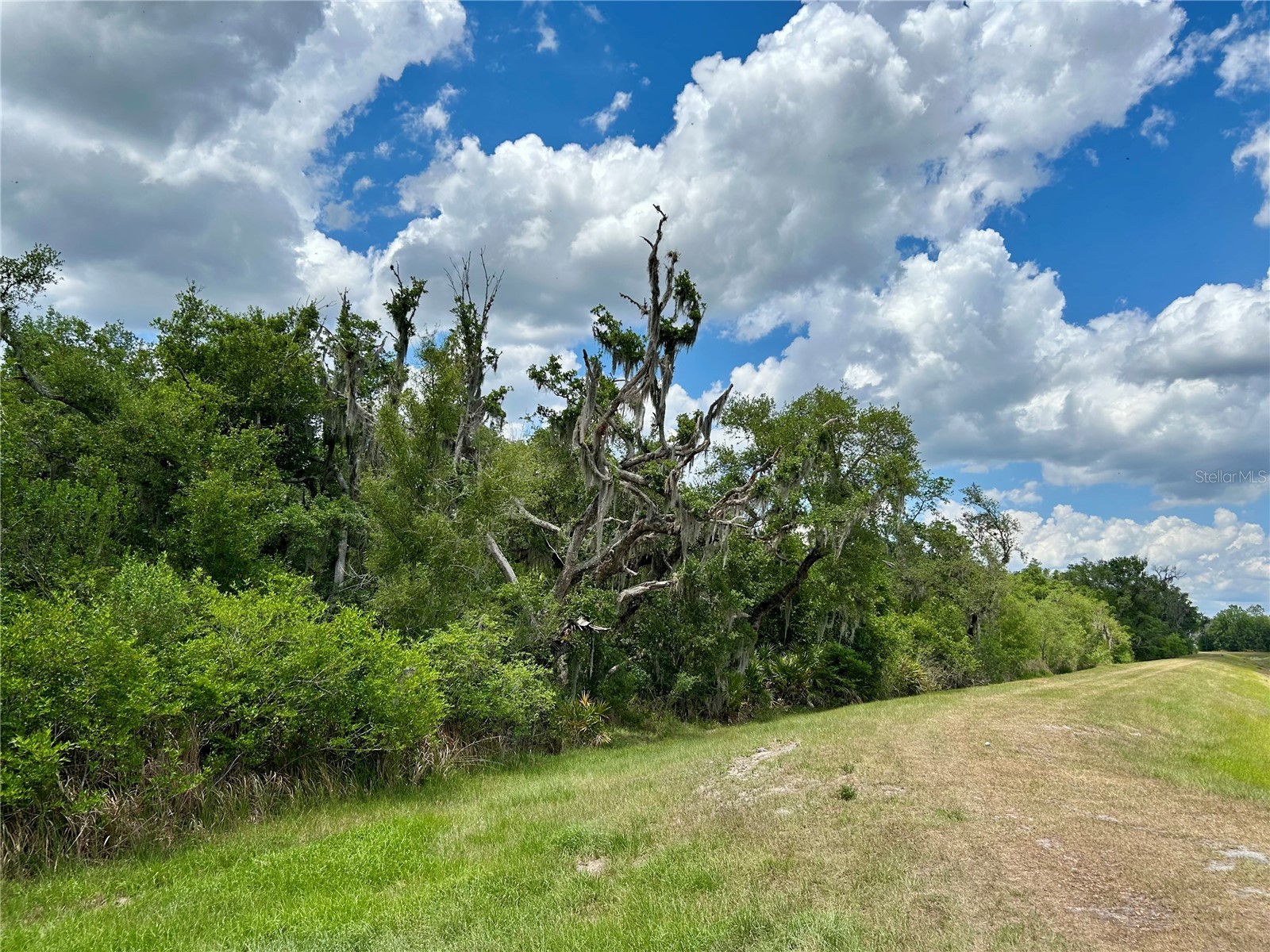 Bronco Drive Zolfo Springs FL 33890 L4961433 image9