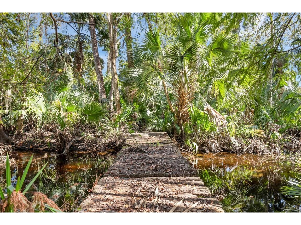 Bronson Road Sorrento FL 32776 O6258826 image10