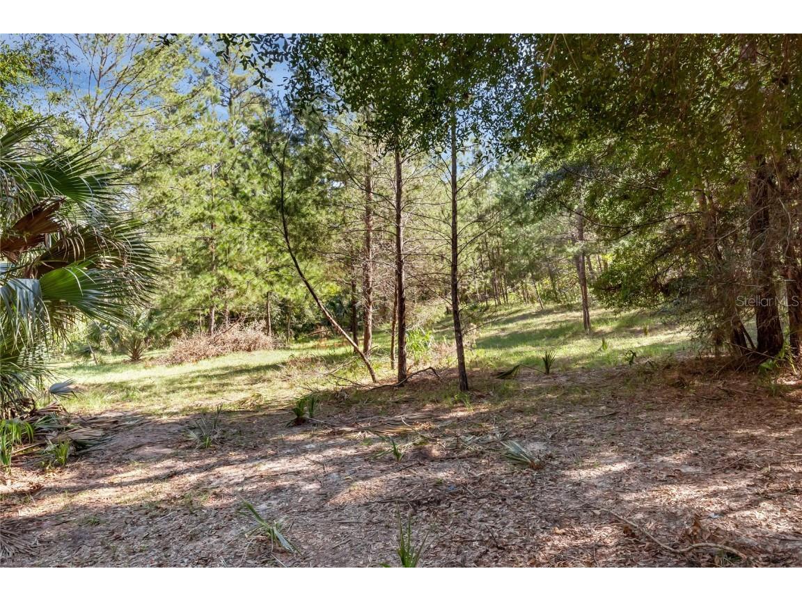 Bronson Road Sorrento FL 32776 O6258826 image12