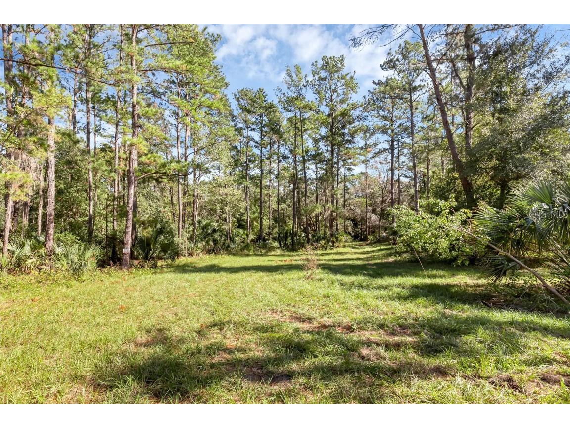 Bronson Road Sorrento FL 32776 O6258826 image13