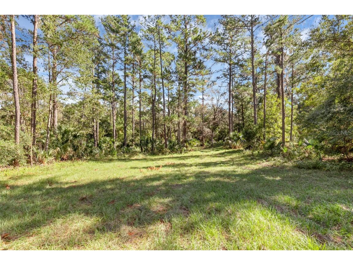 Bronson Road Sorrento FL 32776 O6258826 image14