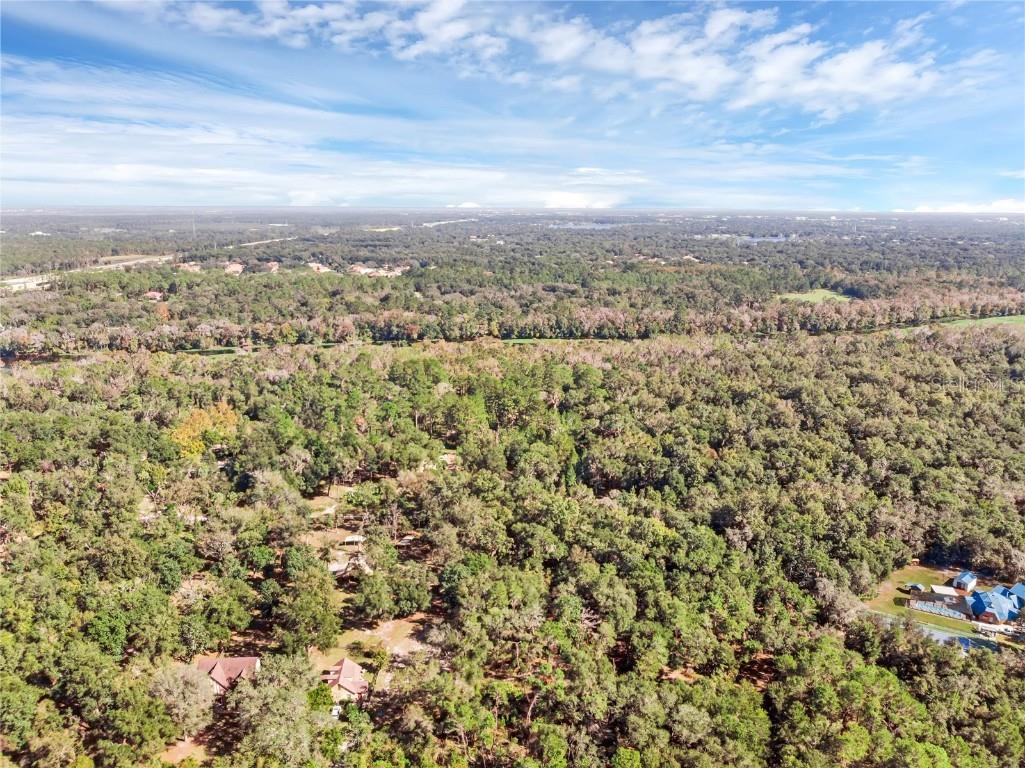 Bronson Road Sorrento FL 32776 O6258826 image15