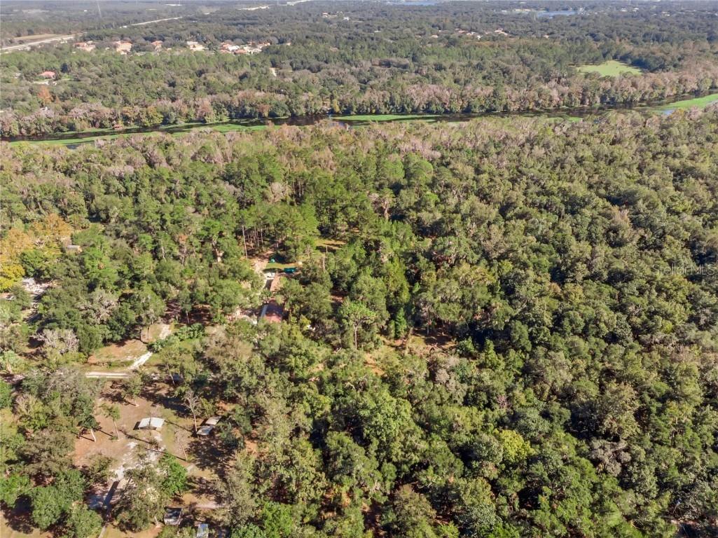 Bronson Road Sorrento FL 32776 O6258826 image16