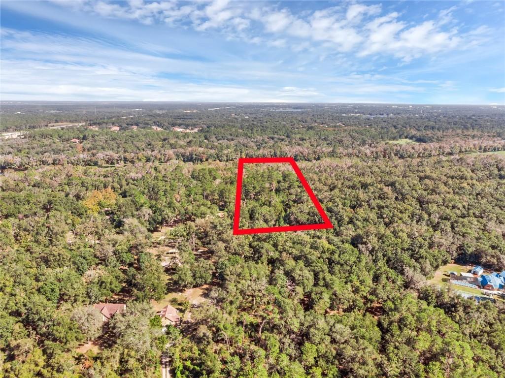 Bronson Road Sorrento FL 32776 O6258826 image18