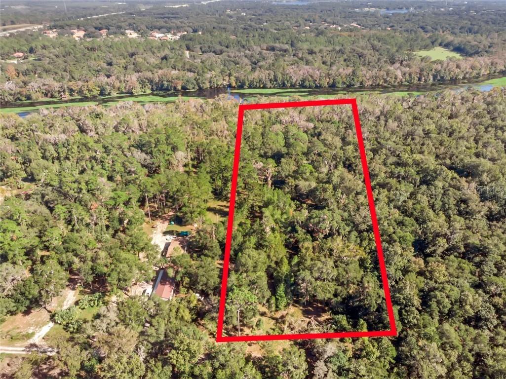 Bronson Road Sorrento FL 32776 O6258826 image19