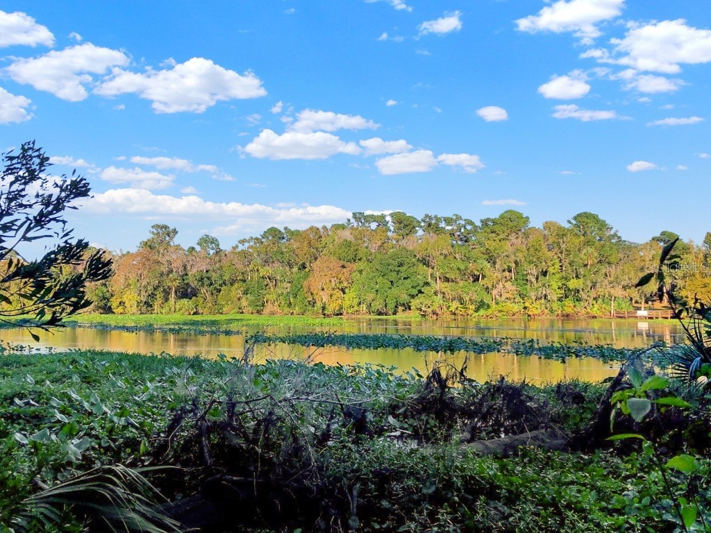 Bronson Road Sorrento FL 32776 O6258826 image3